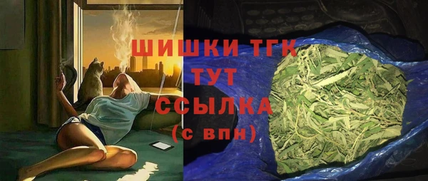сатива Волосово